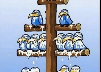 Nunca trabajes para nadie