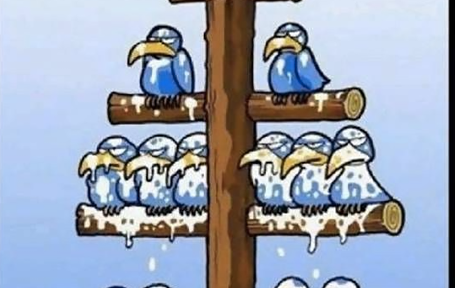 Nunca trabajes para nadie